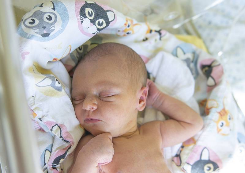 Kamila Rácová se narodila v nymburské porodnici 10. srpna 2021 v 1.48 hodin s váhou 2880 g a mírou 48 cm. Z prvorozené holčičky se v Čelákovicích raduje maminka Petra a tatínek Jan.