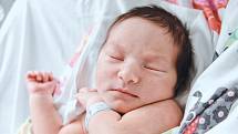 Alexander Drach z Kovanska se narodil v nymburské porodnici 8. července 2022 v 17:28 hodin s váhou 3150 g a mírou 49 cm. Z chlapečka se raduje maminka Vitalina, tatínek Michal a bráška Ivan (9 let).