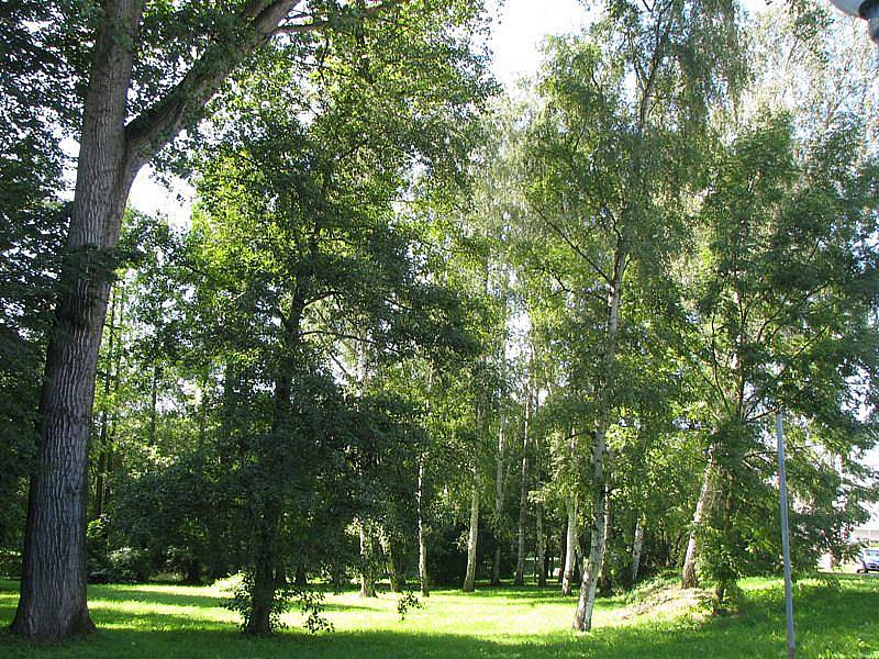 Okolí Havířského kostelíčka a rybníčku v Polabci, kde má vzniknout park. 