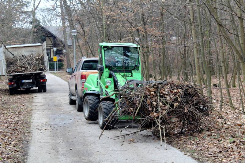 Úpravy v Oboře probíhají také podél hlavní stezky mezi Jízdárnou a restaurací Obora, kde jsme zachytili pracovníky s naším objektivem právě ve chvíli, kdy opravovali píchlé kolo u jednoho z pomocných strojů.