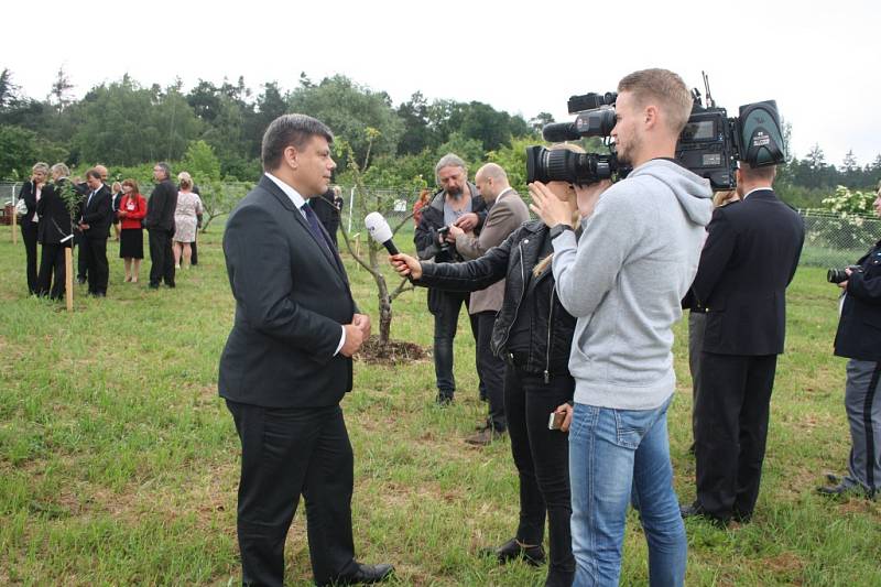 Vězni v Jiřicích sadaří a včelaří