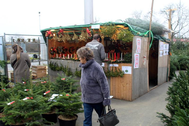 Prodej vánočních stromků na parkovišti před řetězcem Albert v Nymburce se rozjíždí.