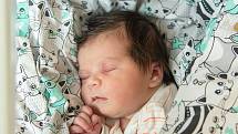 Berenika Nováková z Kout se narodila v nymburské porodnici 31. října 2021 ve 22:20 hodin s váhou 3080 g a mírou 49 cm. Doma se z holčičky raduje maminka Marie, tatínek Filip a bráška Bartoloměj (2,5 roku).