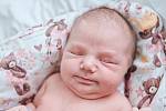 Ester Nováková se narodila v nymburské porodnici 1. července 2022 v 23:08 hodin s váhou 3500 g a mírou 49 cm. V Rostoklatech prvorozenou holčičku očekávala maminka Pavlína a tatínek Ondřej.