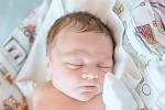 Albert Vondra z Cerhenic se narodil v nymburské porodnici 9. března 2022 v 1:49 hodin s váhou 3720 g a mírou 49 cm. Z chlapečka se raduje maminka Dana, tatínek Martin a sestřička Elen (3,5 roku).