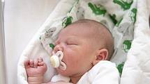 David Vajas z Poříčan se narodil v nymburské porodnici 15. srpna 2021 v 18.05 hodin s váhou 3780 g a mírou 50 cm. Domů pojede chlapeček s maminkou Janou a bráškou Matějem (6,5 let).