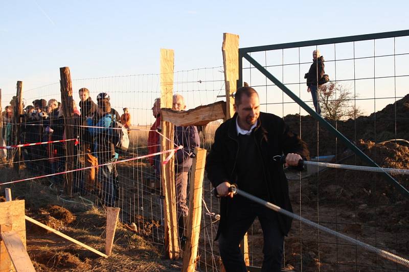 Do aklimatizační ohrady mezi Milovicemi a Benátkami nad Jizerou bylo vypuštěno sedm zubrů z polských rezervací.