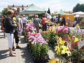 Výstaviště v Lysé nad Labem otevře brány pro dvojici výstav Květy a Festival věštění už ve čtvrtek 13. července.