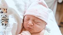 Ellen Jasmína Švejdová se narodila v nymburské porodnici 6. dubna 2022 v 11:50 hodin s váhou 3180 g a mírou 49 cm. Z holčičky se v Bystřici raduje maminka Andrea, tatínek Lukáš a sestřička Vanessa (8 let).