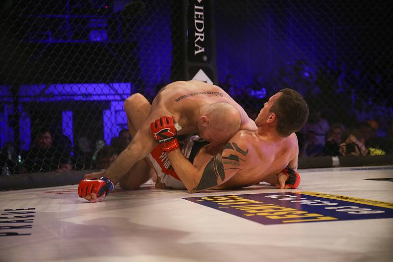 Galevečer MMA GCF 61 Cage Fight Nymburk se ve Sportovním centru konal v neděli 26. ledna.