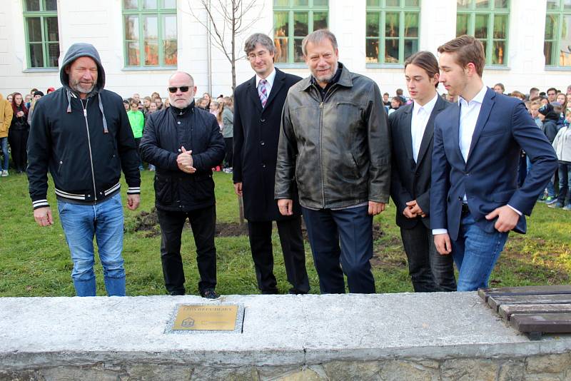 U Gymnázia Bohumila Hrabala roste od pondělí 22. října Lípa republiky.