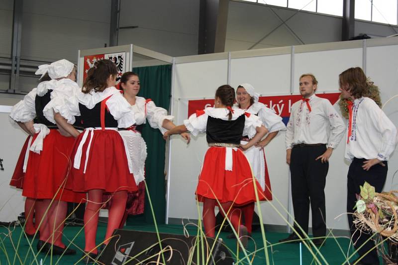 Dožínky a Gastrofestival v Lysé nad Labem