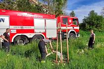 Loni vysazených třicet stromů prosperuje i díky tomu, že se hasiči o ně starají.