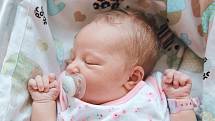 Nikol Nováková se narodila v nymburské porodnici 17. června 2022 v 17:36 hodin s váhou 3350 g a mírou 48 cm. Maminka Kateřina, tatínek Tomáš a sestřička Victoria (7 let) se z holčičky raduji v Milovicích.