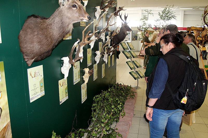 Z poslední výstavy Natura Viva, která se uskutečnila v roce 2019.