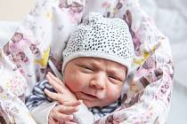 Viola Juklíková se narodila v nymburské porodnici 15. října 2021 v 9:27 hodin s váhou 3140 g a mírou 46 cm. Do Smečna pojede holčička s maminkou Marií, tatínkem Janem a sestřičkou Medou (3 roky).