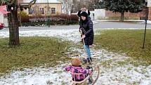 Ptačí sněm na počest Václava Havla vznikl na stromě Na Rejdišti.