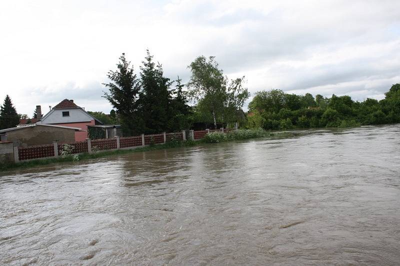 Rašovice ve čtvrtek