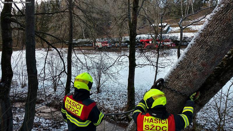 Nymburští drážní hasiči pomáhali u nehody, při níž vlak najel na spadlý strom. Foto: archiv drážních hasičů