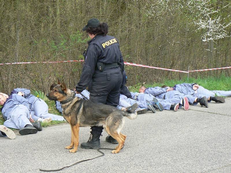 Cvičení simulující nehodu autobusu převážejícího vězně