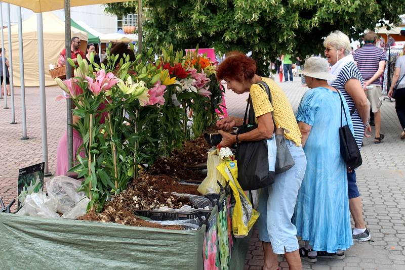 Na lyském výstavišti je k vidění až do neděle výstava Květy a Festival umění. Ve venkovních prostorách jsou připraveny pouťové atrakce.