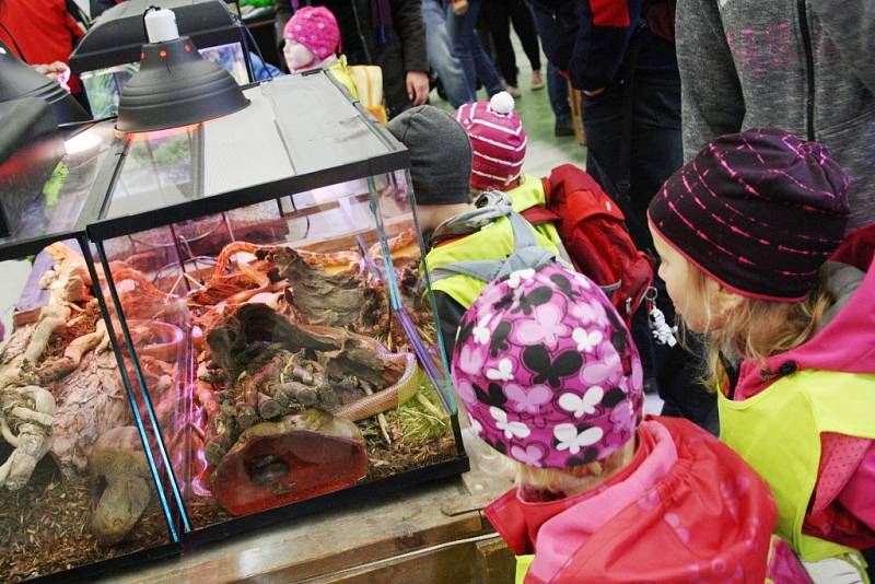 Výstava Exotika 2016 v Lysé nad Labem.