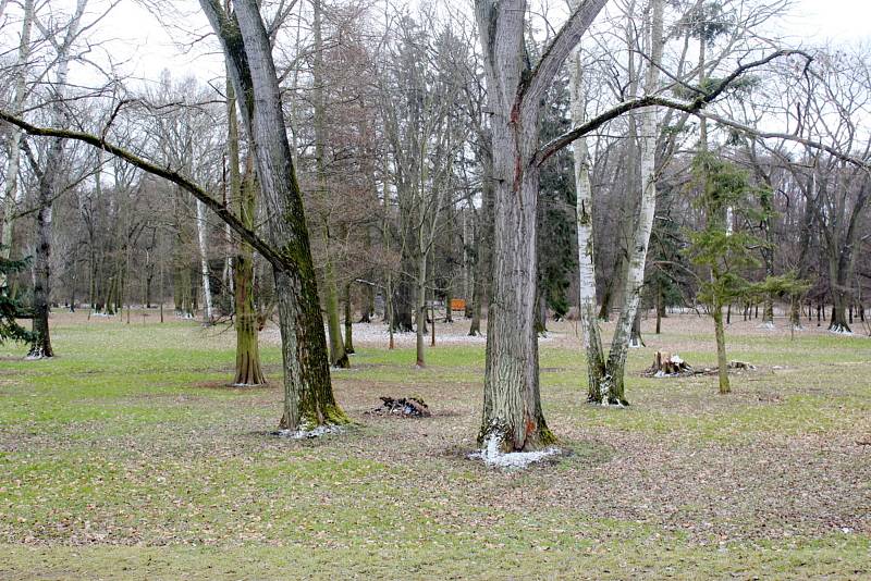 Neumannovy sady v Poděbradech.