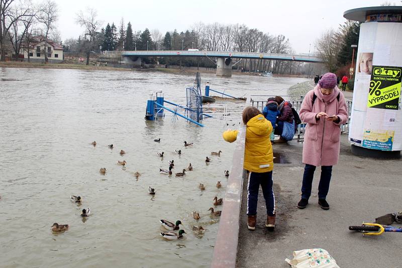 Labe v Poděbradech.