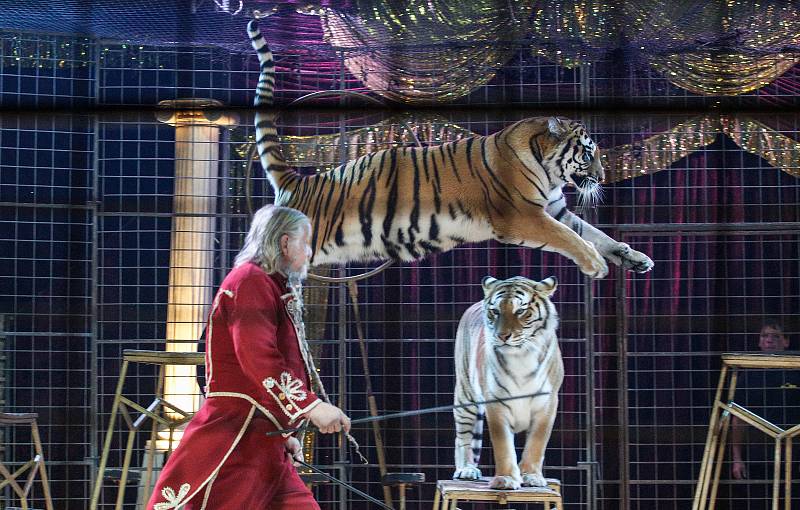 Z vystoupení národního cirkuss Jo-joo s turném Strojčasu v Pardubicích v listopadu 2019.