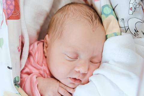 Marie Kořínková se narodila v nymburské porodnici 24. ledna 2023 v 8:16 hodin s váhou 3310 g a mírou 48 cm. V Nymburce se z prvorozené holčičky raduji maminka Veronika a tatínek Tomáš.