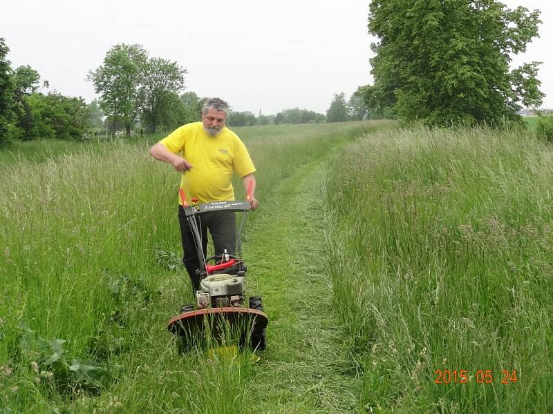 Greenway Mrlina: už je opět zprůchodněná