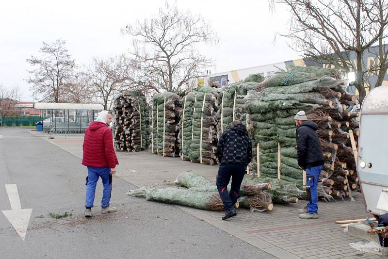 Nákladní vůz s přívěsem plným vánočních stromků dorazil v sobotu k hypermarketu Albert v Nymburce.