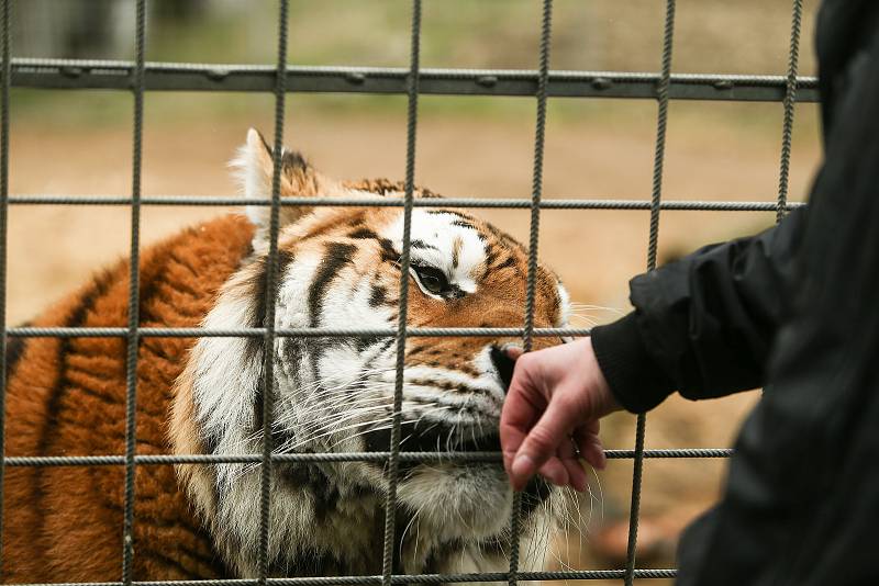 Letos na jaře při návštěvě Cirkusu Jo - Joo v jeho zimovišti ve Zbožíčku.