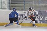 Na nymburském zimním stadionu se uskutečnil třetí ročník turnaje v bandy hokeji.