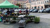 Farmářské trhy na náměstí Přemyslovců.