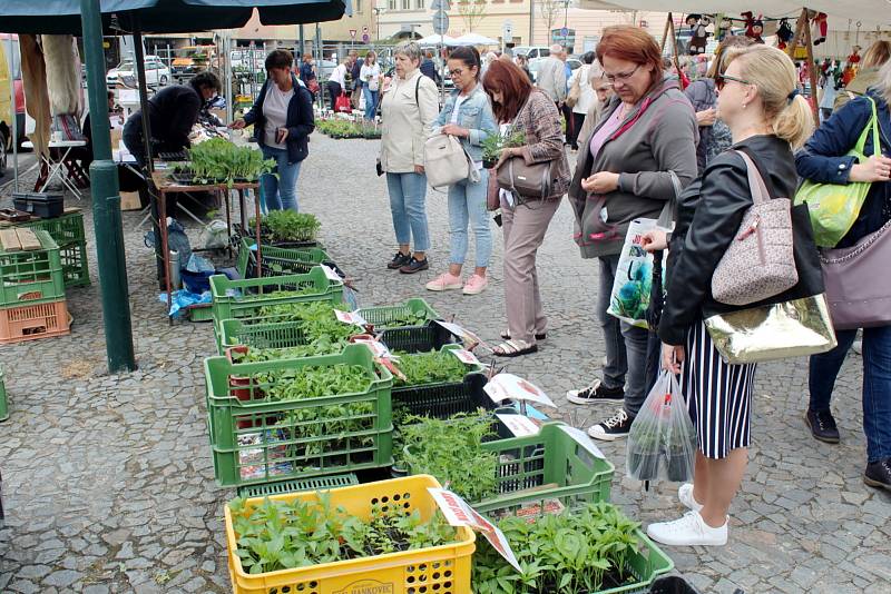 Farmářské trhy na náměstí Přemyslovců v Nymburce.