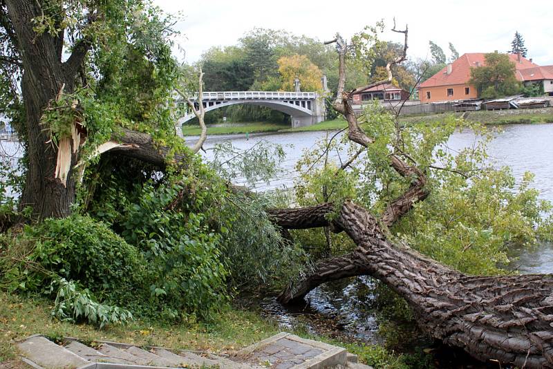 Dva stromy spadly na molo u parkoviště pod Eliškou v Nymburce.