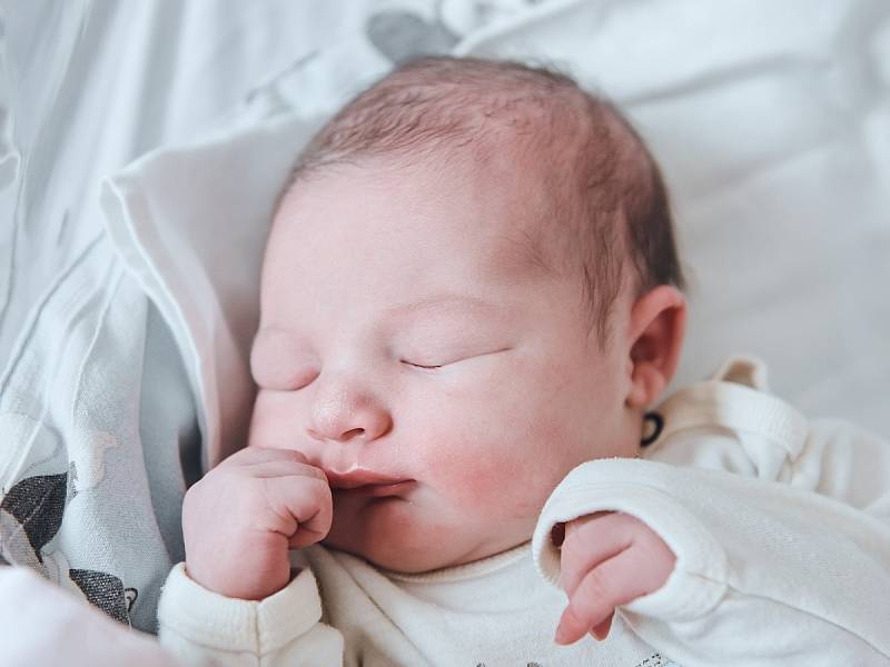 Světlana Čvančarová z Vyšehořovic se narodila v nymburské porodnici 4. července 2022 v 6:00 hodin s váhou 3680 g a mírou 50 cm. Prvorozená holčička bude vyrůstat s maminkou Nikolou a tatínkem Petrem.