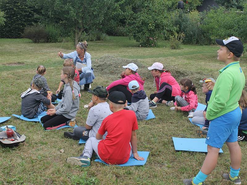 Děti na táboře poznaly nymburskou přírodní zahradu.