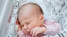 Alice Vosáhlová se narodila v nymburské porodnici 22. dubna 2022 v 9:20 hodin s váhou 3490 g a mírou 50 cm. V Praze se na holčičku těšila maminka Eva, tatínek Tomáš a bráška Šimon (2,5 roku).