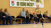 Z basketbalového utkání Středočeského přeboru starších minižákyň U13 Sadská - Mladá Boleslav (119:12)