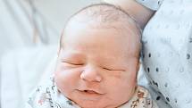 Alex Koníček se narodil v nymburské porodnici 22. listopadu 2022 v 8:18 hodin s váhou 3980 g a mírou 50 cm. V Milovicích chlapečka očekávala maminka Jitka, tatínek Vitalij a bráška Max (2 roky).