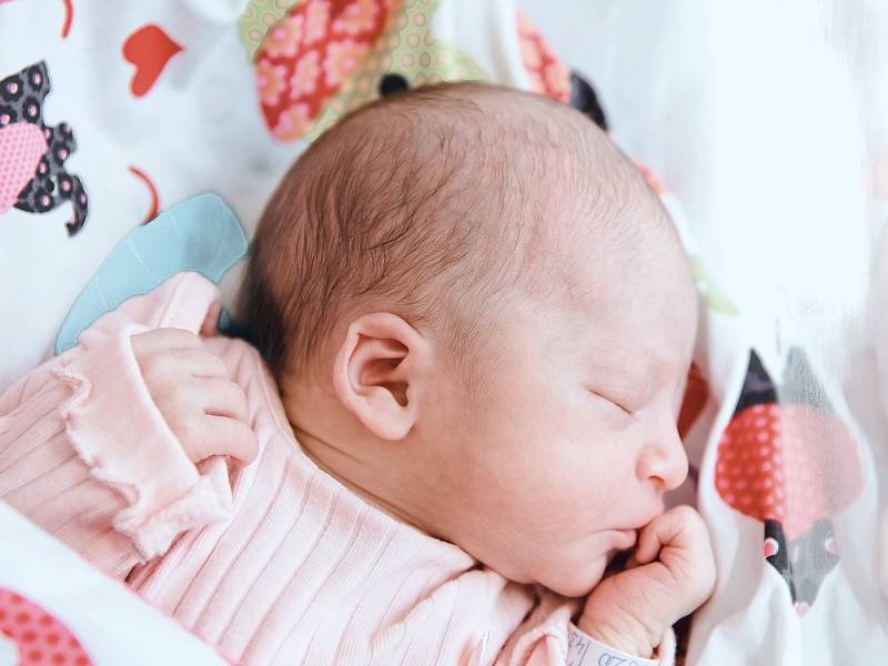 Stella Emília Pavkovičová z Klokočné se narodila v nymburské porodnici 17. května 2022 v 8:47 hodin s váhou 2320 g a mírou 43 cm. Prvorozenou holčičku očekávala maminka Nikola a tatínek Michal.