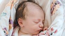 Adéla Mikolášiková se narodila v nymburské porodnici 22. května 2022 v 23:29 hodin s váhou 3070 g a mírou 50 cm. V Úmyslovicích se na holčičku těšila maminka Jana, tatínek Tomáš, bráška Tomáš (3,5 roku) a sestřička Eliška (2 roky).