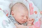 Lilly Herman se narodila v nymburské porodnici 7. srpna 2022 v 5:10 hodin s váhou 3570 g a mírou 49 cm. S maminkou Erikou a tatínkem Matějem bude prvorozená holčička bydlet v Línech.