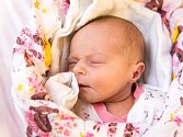 Poslední den v roce 2020 se v nymburské nemocnici narodila také Helena Pláničková. Vážila 3040 gramů a měřila 48 centimetrů.
