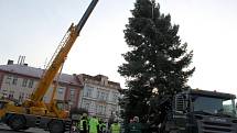 Nymburské náměstí zdobí Vánoční strom, který byl uříznut v Kovanicích. 