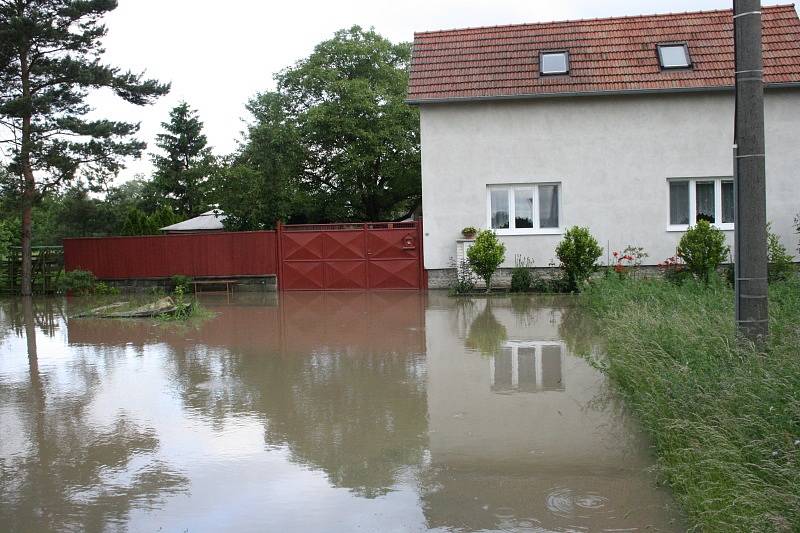 Rašovice ve čtvrtek