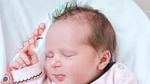 Rebeka Pavlíčková se narodila v nymburské porodnici 28. září 2022 v 3:10 hodin s váhou 2920 g a mírou 46 cm. V Luštěnicích se z holčičky raduje maminka Michaela, tatínek Pavel a bráška Pavel (4 roky).