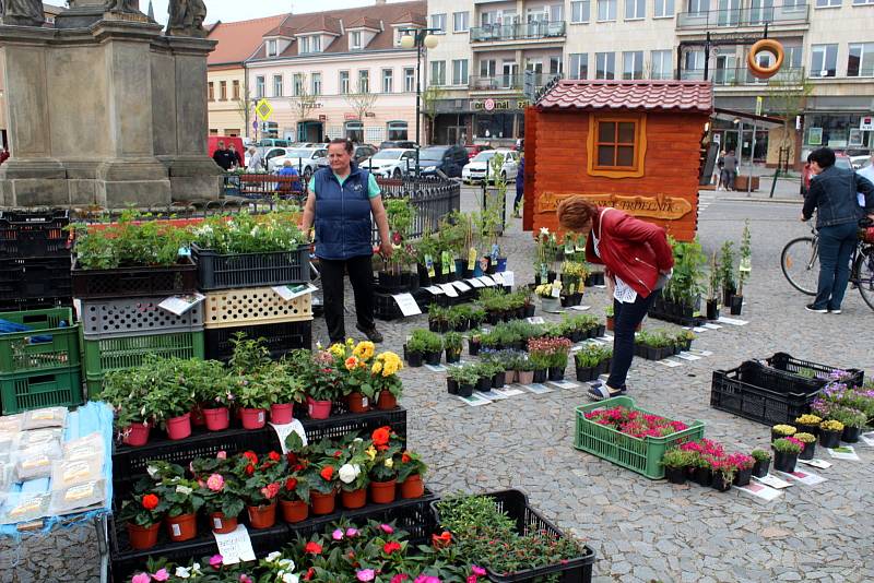 Farmářské trhy na náměstí Přemyslovců v Nymburce.